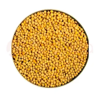 PARAS MUSTARD SEED YELLOW:7OZ PARAS MUSTARD SEED YELLOW:7OZ