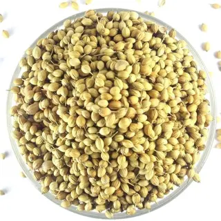 PARAS CORINDER WHOLE : 400 G PARAS CORINDER WHOLE : 400 G