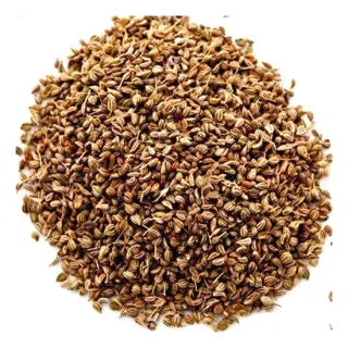PARAS AJWAIN SEED: 800GM PARAS AJWAIN SEED: 800GM