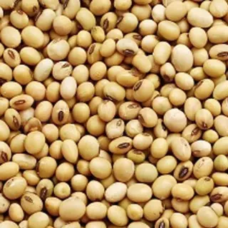 RADHEY SOYABEAN RAW: 2LB RADHEY SOYABEAN RAW: 2LB