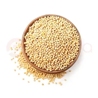 PARAS MUSTARD SEED MED: 28OZ PARAS MUSTARD SEED MED: 28OZ