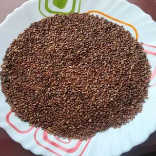 APNA SESAME NATURAL BROWN: 3LB APNA SESAME NATURAL BROWN: 3LB