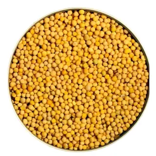 Paras Mustard Seed Yellow:14oz Paras Mustard Seed Yellow:14oz