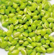 HALDIRAM VALOR LILVA: 312G HALDIRAM VALOR LILVA: 312G